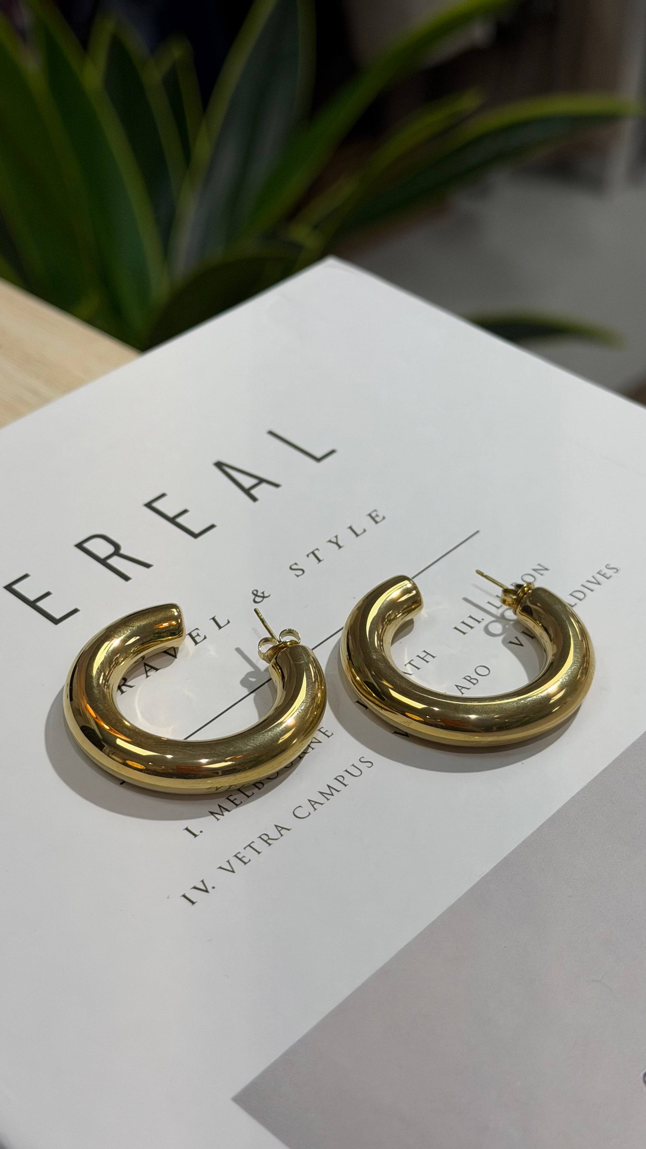 TK143 GOLD KÜPE
